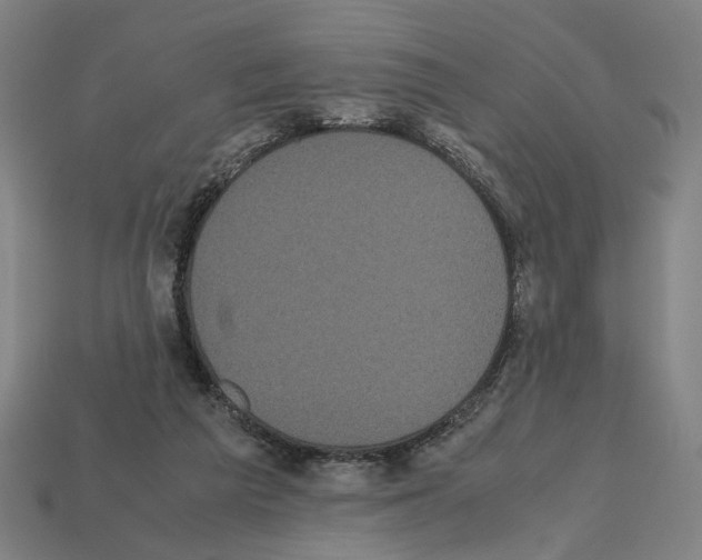 X0000112530209200909281045