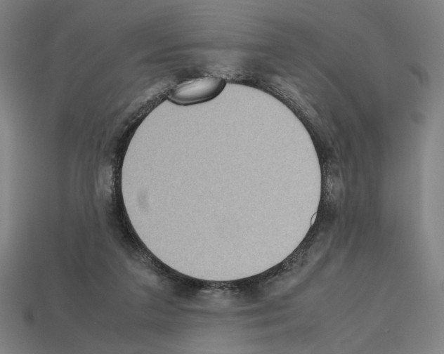 X0000112530211200909281045