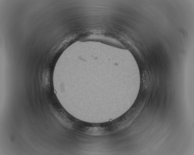 X0000112530212200909281045