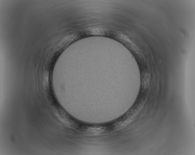 X0000112530213200909281045