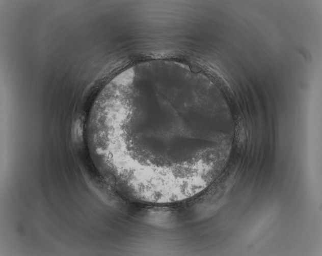 X0000112530214200909281045