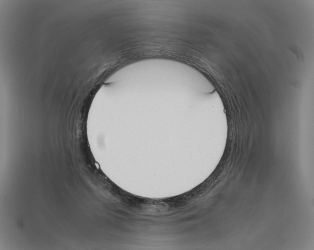 X0000112530215200909281045