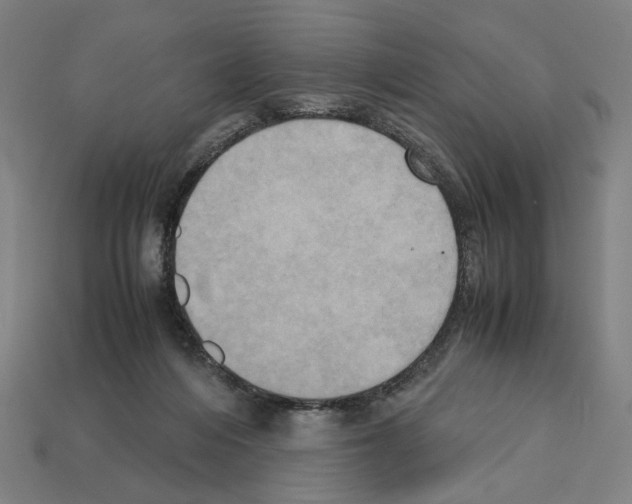 X0000112530216200909281045