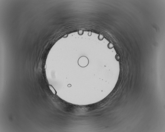 X0000112530217200909281045