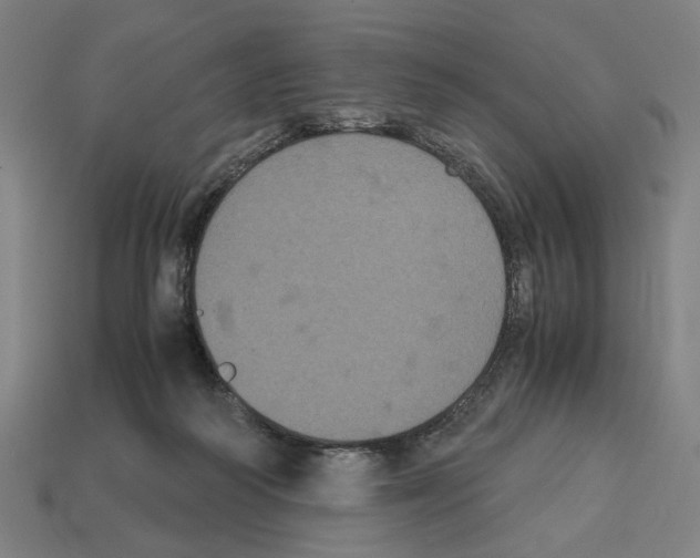 X0000112530218200909281045