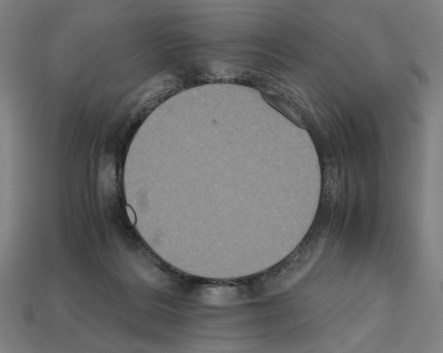 X0000112530220200909281045