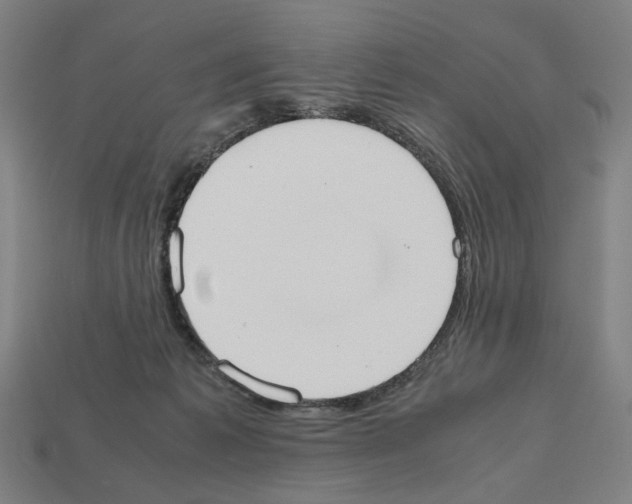 X0000112530221200909281045