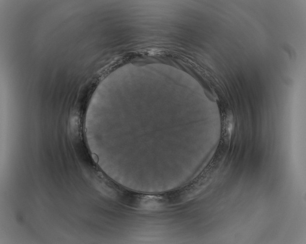 X0000112530222200909281045