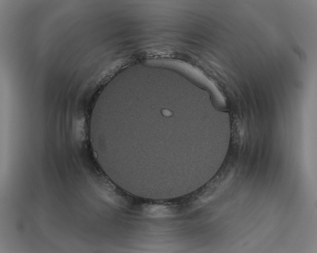 X0000112530224200909281045