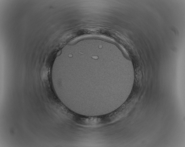 X0000112530225200909281045