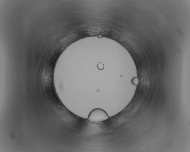 X0000112530226200909281045