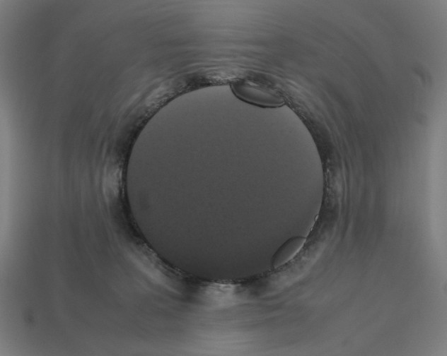 X0000112530227200909281045