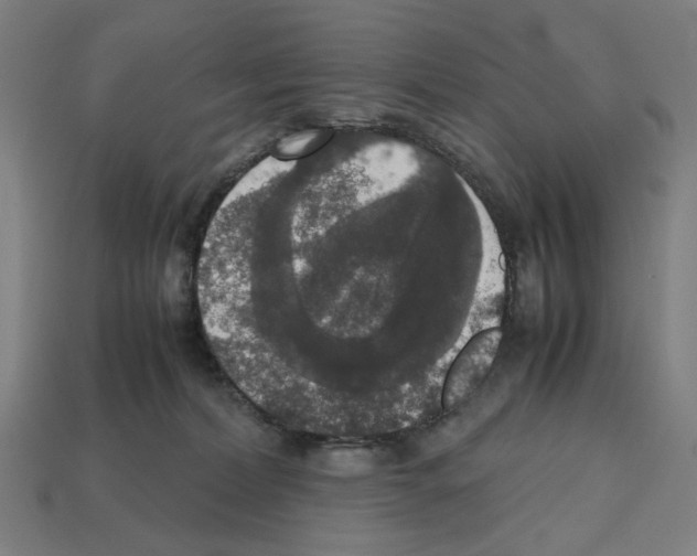 X0000112530228200909281045