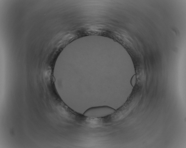 X0000112530231200909281045