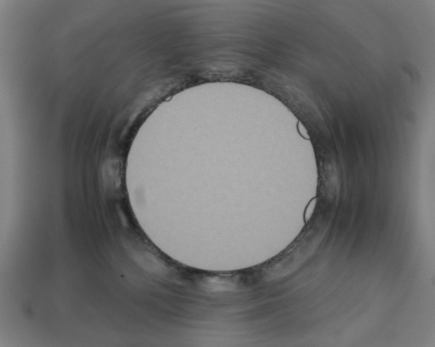 X0000112530232200909281045