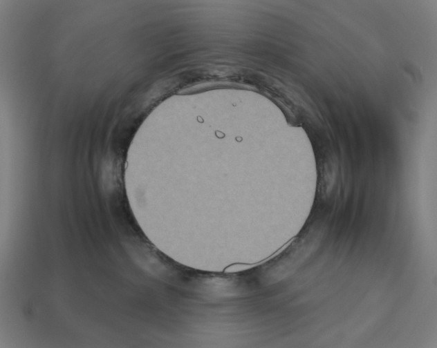 X0000112530236200909281045