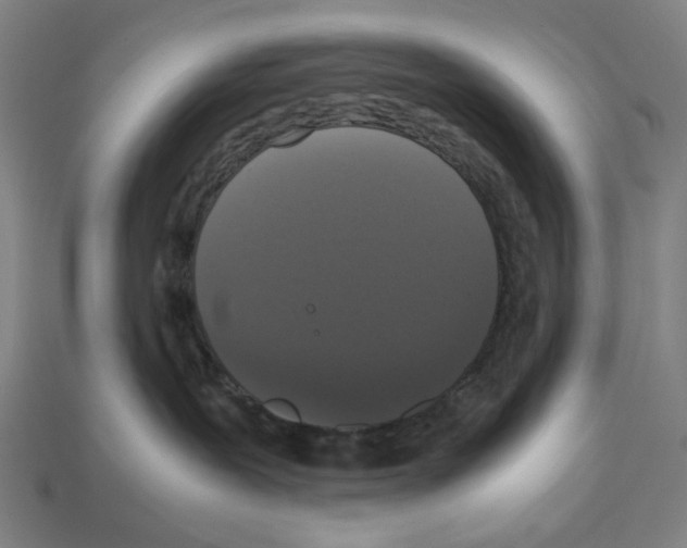 X0000112530239200909281045