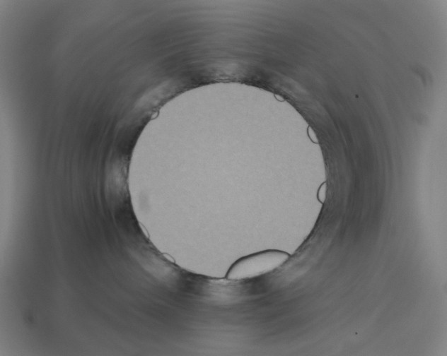 X0000112530240200909281045