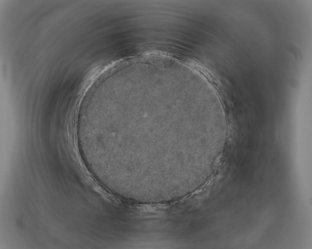 X0000112530241200909281044