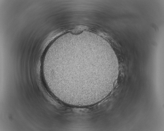 X0000112530242200909281044