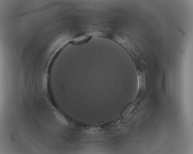 X0000112530243200909281044