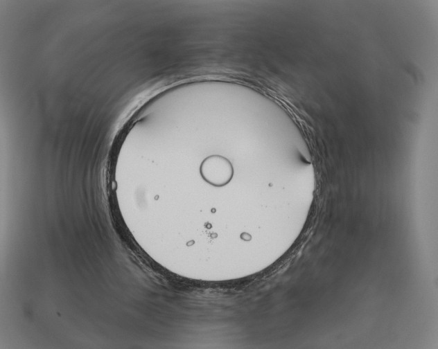 X0000112530244200909281044