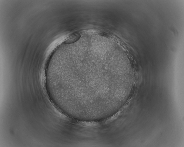 X0000112530245200909281044