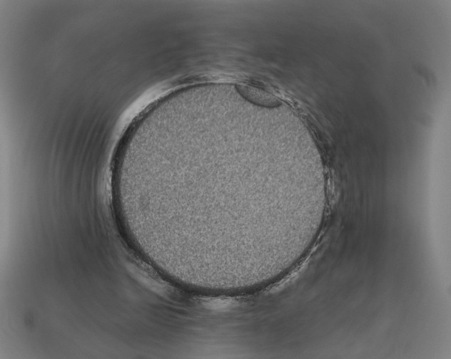 X0000112530246200909281044