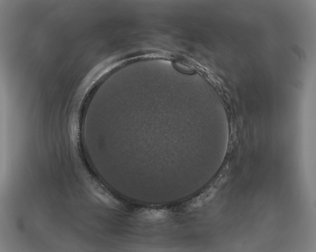 X0000112530247200909281044