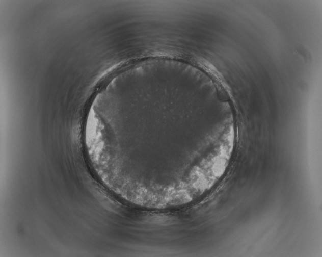 X0000112530249200909281044