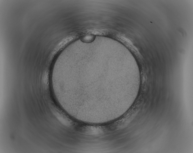 X0000112530250200909281044