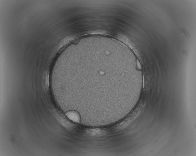 X0000112530253200909281044