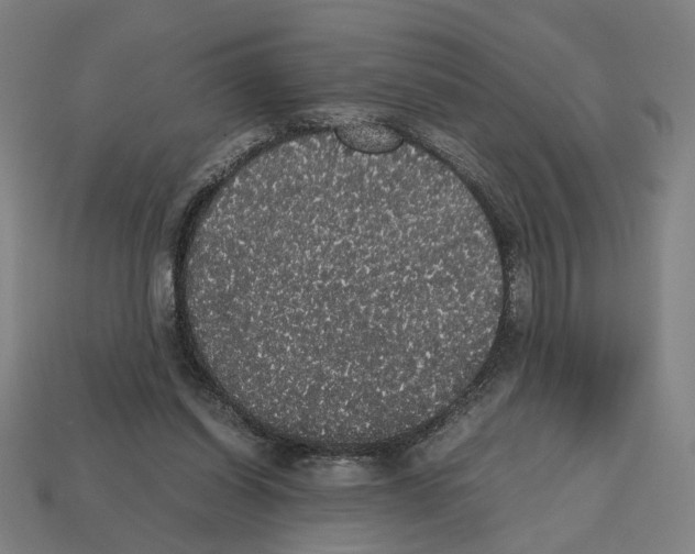 X0000112530254200909281044