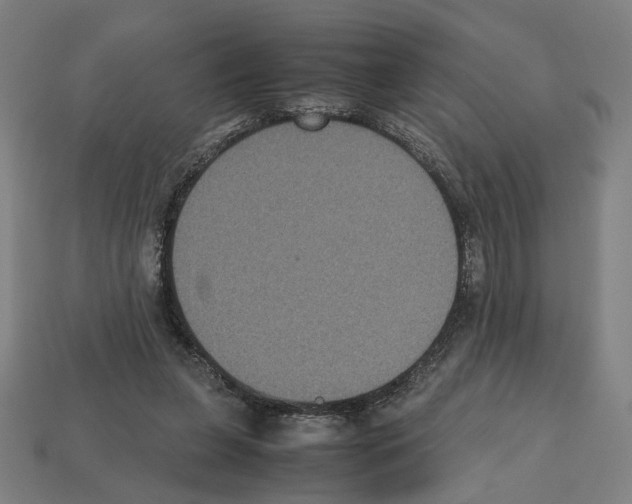 X0000112530255200909281044