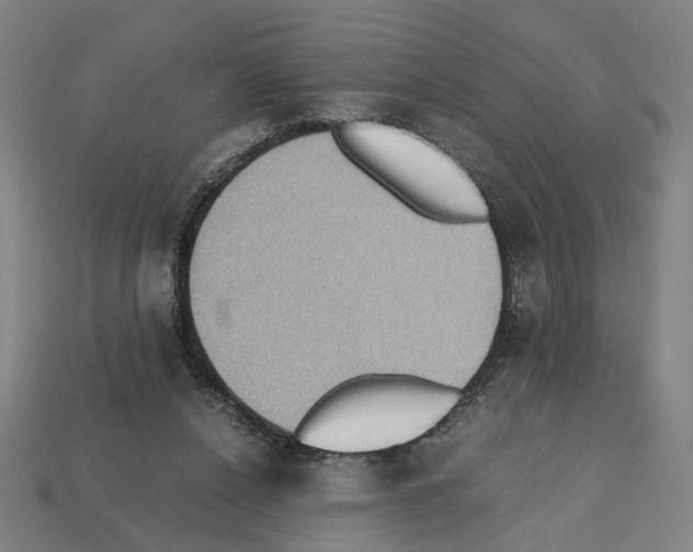 X0000112530256200909281044