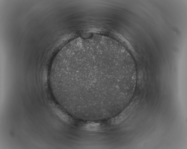 X0000112530257200909281044