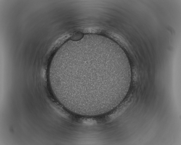 X0000112530258200909281044