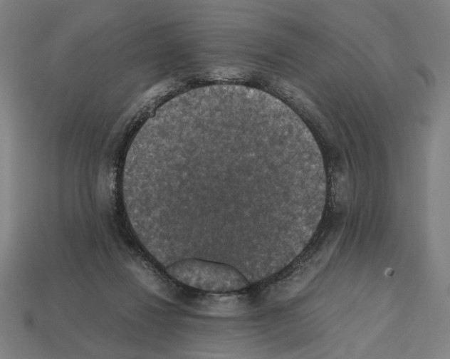 X0000112530260200909281044