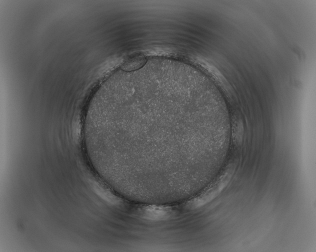 X0000112530261200909281044