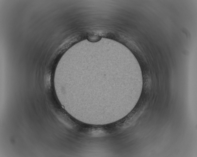 X0000112530262200909281044