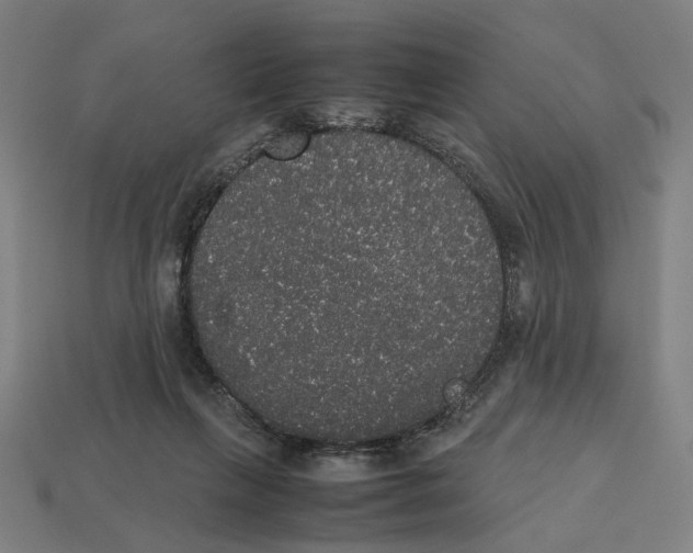 X0000112530263200909281044