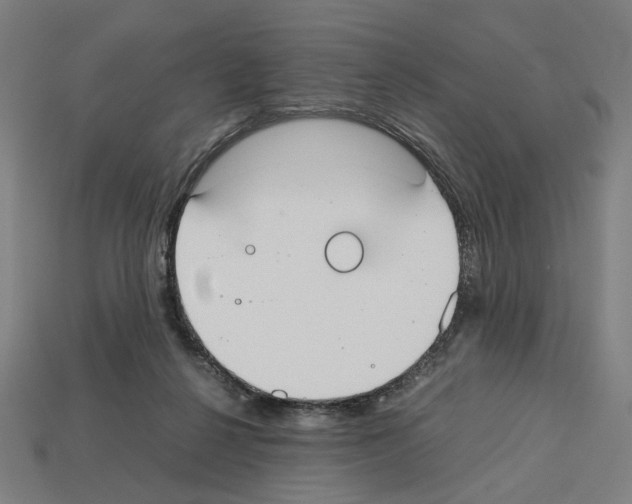 X0000112530264200909281044