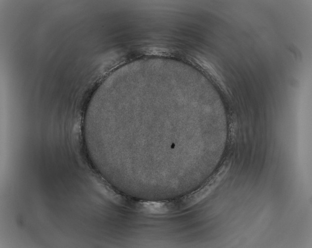 X0000112530265200909281044