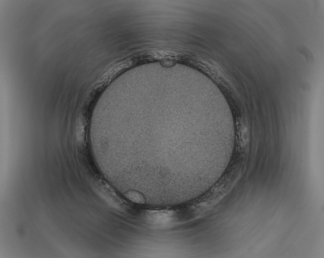 X0000112530266200909281044