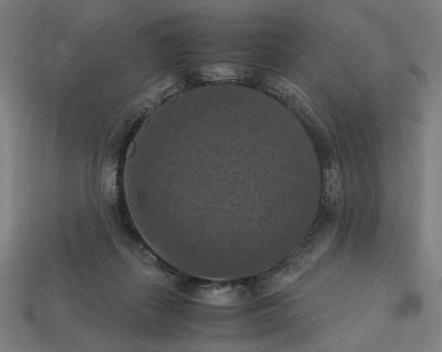 X0000112530267200909281045