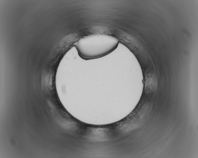 X0000112530268200909281045