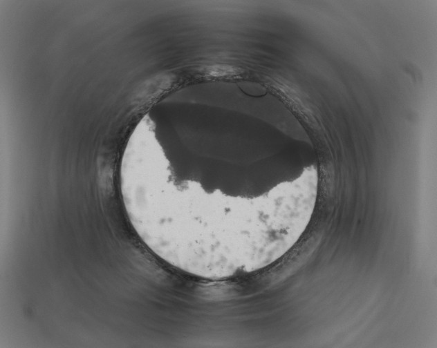 X0000112530269200909281045