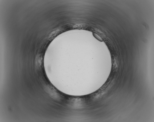 X0000112530276200909281045