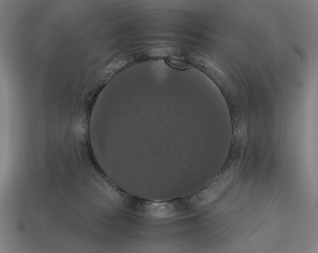 X0000112530277200909281045