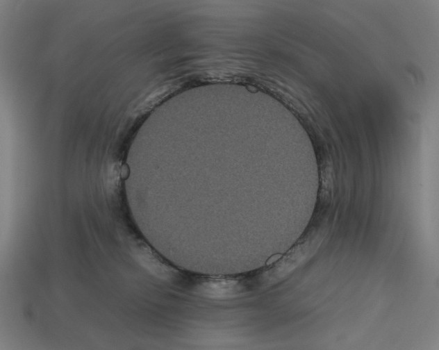 X0000112530278200909281045